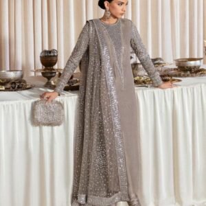 Raw Silk Heavy Embroidered Dress